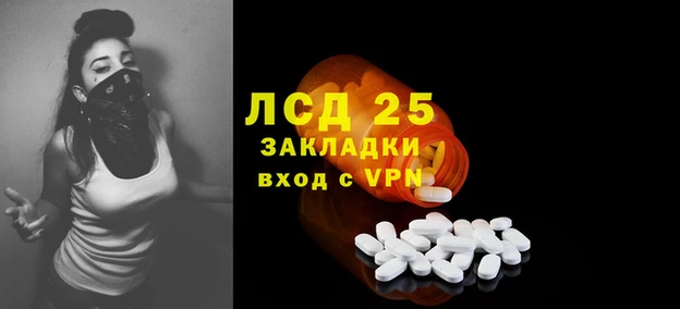 PSILOCYBIN Баксан